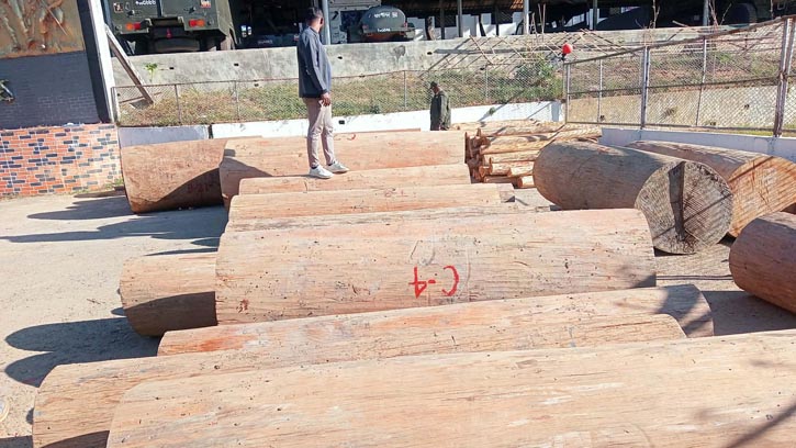 গুইমারায় সেনাবাহিনীর অভিযানে অবৈধ কাঠ জব্দ