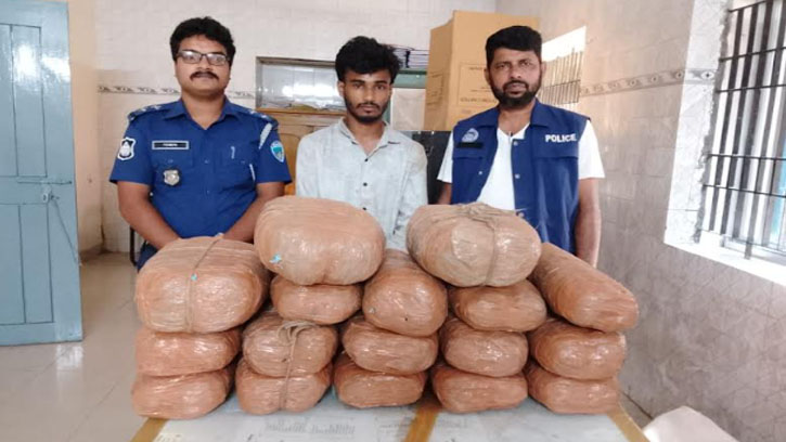 বাঞ্ছারামপুরে ২০ কেজি গাঁজাসহ যুবক আটক, গাড়ি জব্দ