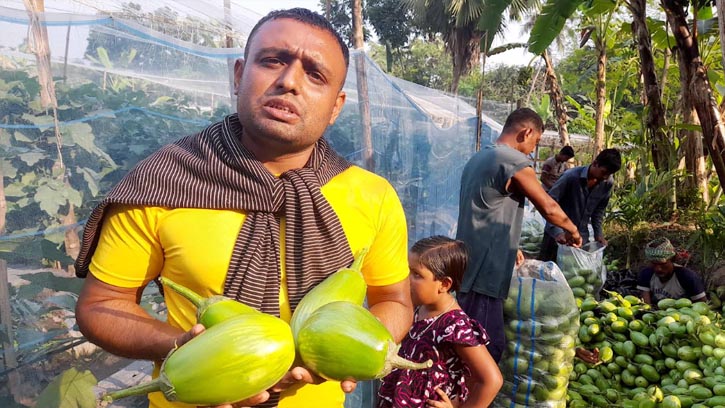 ফকিরহাটে প্রথমবারেই অর্গানিক বেগুন চাষে মুরাদের বাজিমাত