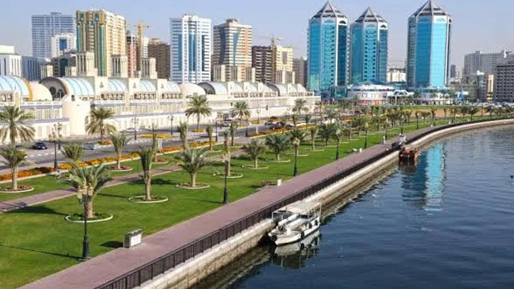 কচ্ছপ রক্ষায় শারজাহ শাসকের বড় সিদ্ধান্ত: কালবা বিচে হোটেল প্রকল্প বাতিল