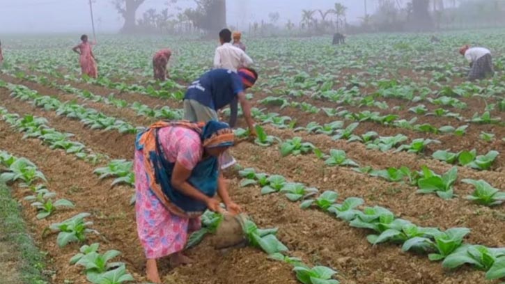 ঘন কুয়াশা ও ঠান্ডার দাপটে দীঘিনালায় বাড়ছে শীতের তীব্রতা