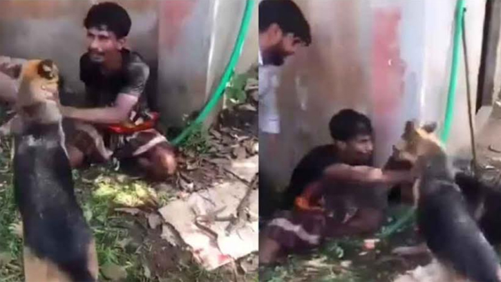 যুবকের ওপর কুকুর লেলিয়ে নির্যাতন, আটক ৩