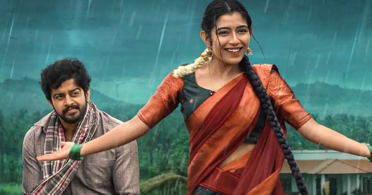 ৩ কোটি রুপির কম বাজেটে সিনেমা, ২৯ দিনে আয় ১১৪ কোটি