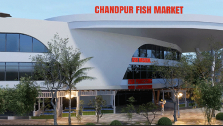 চাঁদপুরে আধুনিক ইলিশ অবতরণ কেন্দ্র স্থাপনের কার্যক্রম শুরু