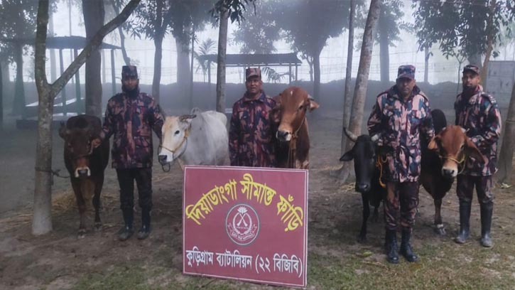 ৩৮ লাখ টাকার ইয়াবাসহ চোরাচালানী মালামাল জব্দ