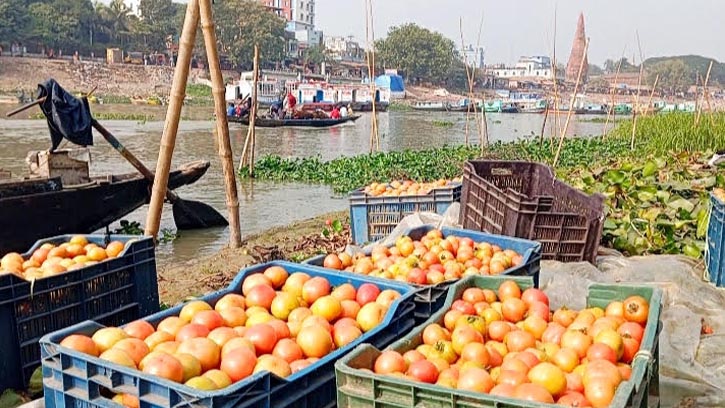 নবীনগরে টমেটোর বাম্পার ফলন, খুশি কৃষক ও ক্রেতারা 
