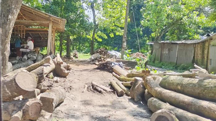 চান্দিনায় যুবদল নেতা বিরুদ্ধে সরকারি খাল দখলের অভিযোগ 