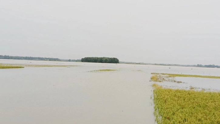 টানা বৃষ্টি ও পাহাড়ি ঢলের পানিতে গ্রামের পর গ্রাম প্লাবিত