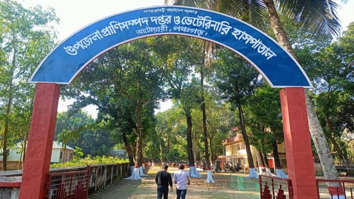 আটোয়ারীতে স্বাস্থ্য পরীক্ষা ছাড়াই জবাই হচ্ছে রুগ্ন পশু