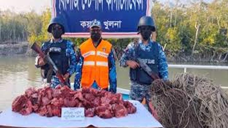 সুন্দরবনে হরিণের মাংস উদ্ধার, শিকারিদের ফাঁদ জব্দ