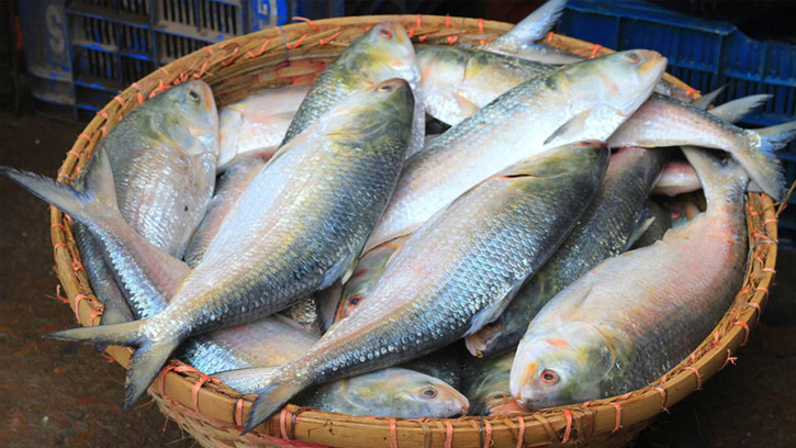 ইলিশের ওজন অনুযায়ী দাম নির্ধারণের সুপারিশ ট্যারিফ কমিশনের