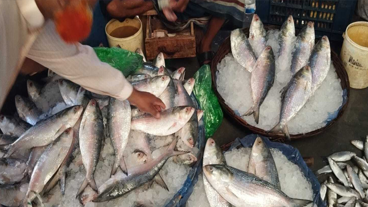 শেষ মুহূর্তে ইলিশ কিনতে গিয়ে হতাশা ক্রেতারা, দাম লাগামহীন