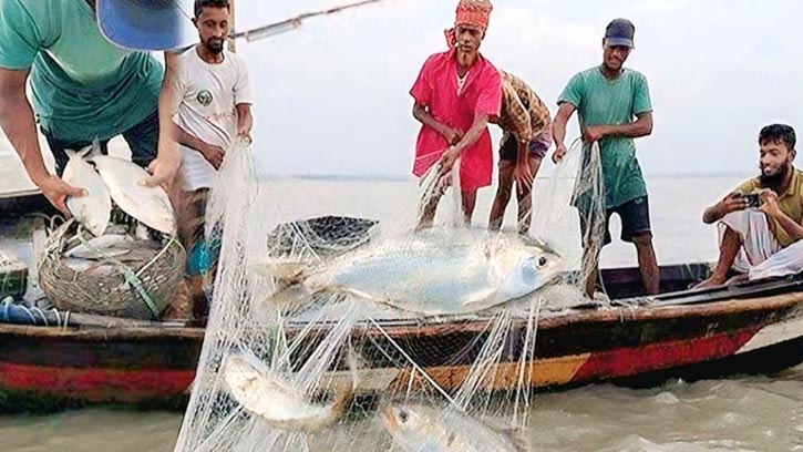 আজ থেকে জাটকা শিকারে ৮ মাসের নিষেধাজ্ঞা শুরু