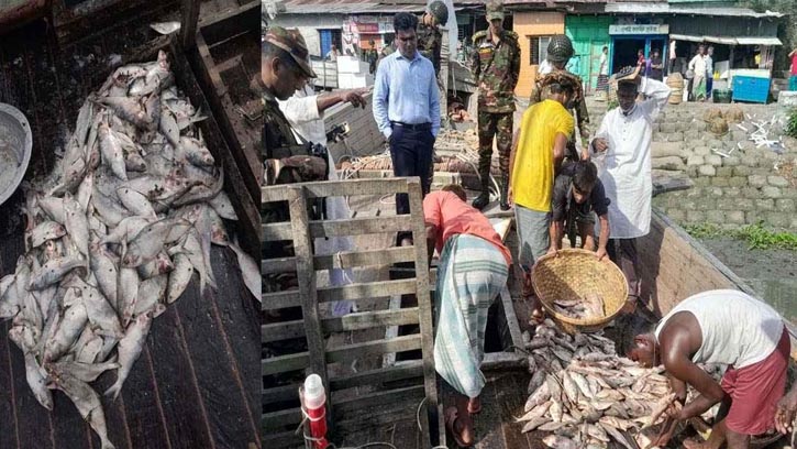 চাঁদপুরে পচা ইলিশ জব্দ: মালিককে লাখ টাকা জরিমানা
