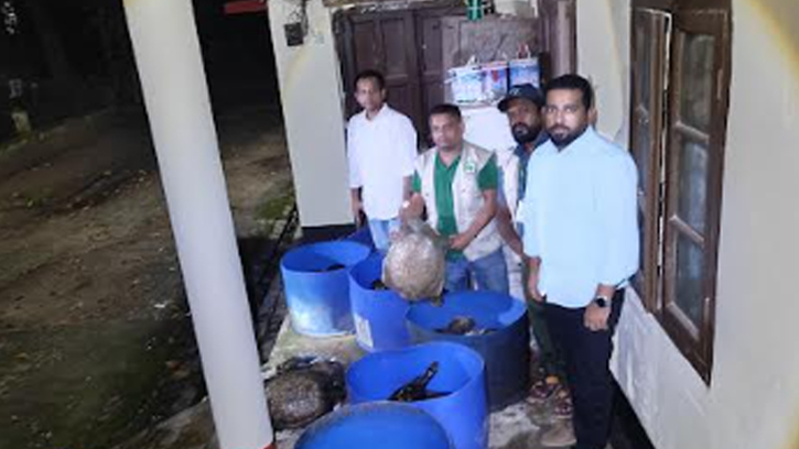 নোয়াখালীতে ৪২৫ কচ্ছপ উদ্ধার