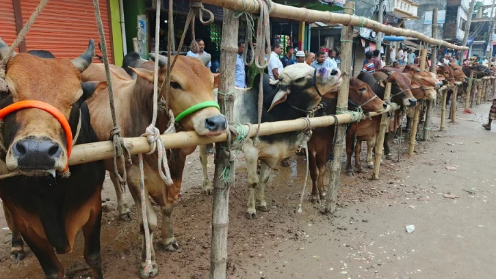 ঈদুল আজহায় রাজধানীর হাটের তালিকা প্রকাশ