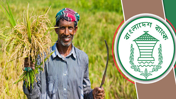 চাঁদপুরে কৃষিঋণ বিতরণ ৩৩৯ কোটি, আদায় ২৮৬ কোটি টাকা