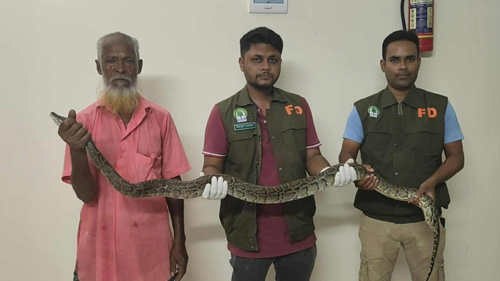 পঞ্চগড়ে ধানক্ষেত জালে পেঁচানো অবস্থায় অজগর সাপ উদ্ধার