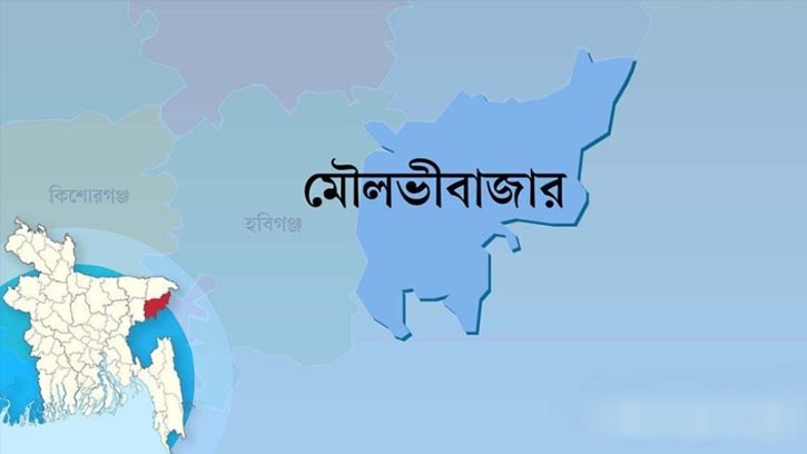 মৌলভীবাজারে চারটি আসনে ৩২ জনের মনোনয়নপত্র দাখিল