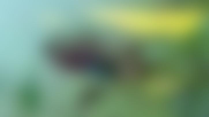 ডোবা থেকে মানসিক প্রতিবন্ধীর লাশ উদ্ধার