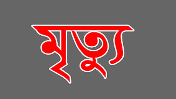 তেঁতুলিয়ায় মোটরসাইকেলের ধাক্কায় পথচারীর মৃত্যু