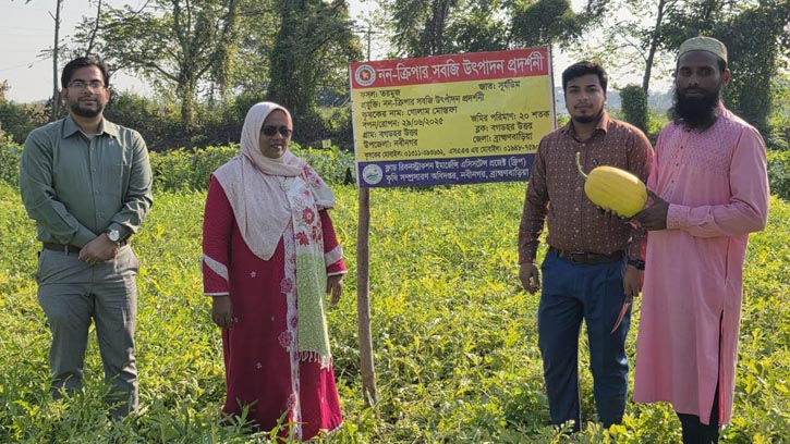 নবীনগরে অসময়ে তরমুজ চাষে খুলছে নতুন সম্ভাবনার দ্বার