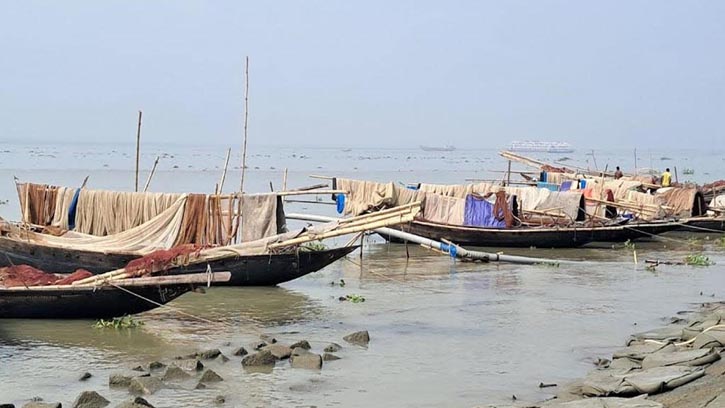 চাঁদপুর মেঘনায় অবৈধ জালে পোনা নিধন, মৎস্য সম্পদ হুমকিতে