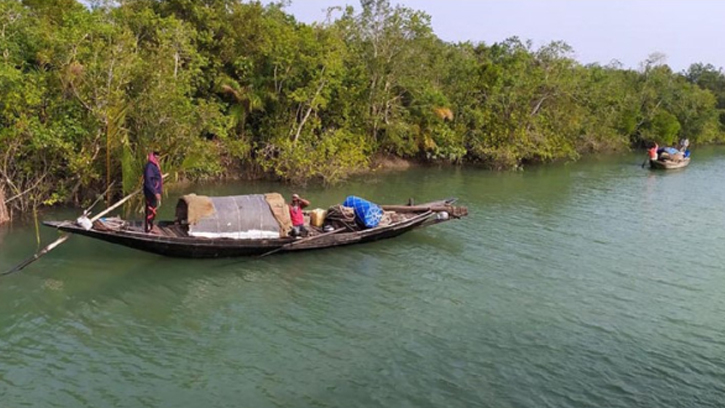 ক্ষুধার তাড়নায় চুরি করে বনেই ঢুকছেন জেলেরা