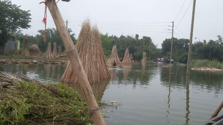 ভারি বর্ষণ ও উজান ঢলে কুষ্টিয়ার নিম্নাঞ্চল প্লাবিত