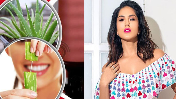 সানি লিওনের মতো উজ্জ্বল ত্বক ঘরে বসেই 