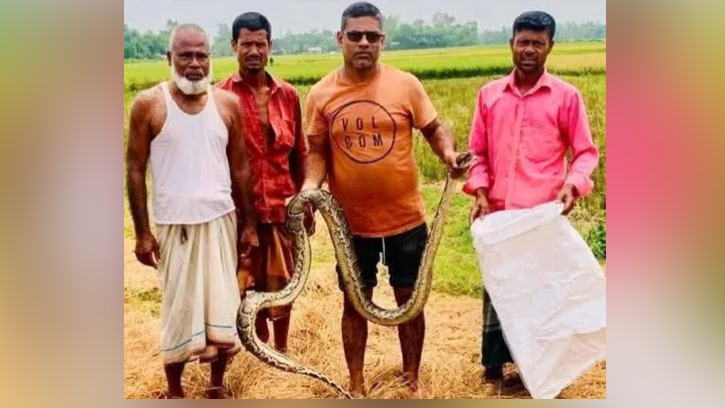 জেলের জালে আটকা অজগর সাপ উদ্ধার 