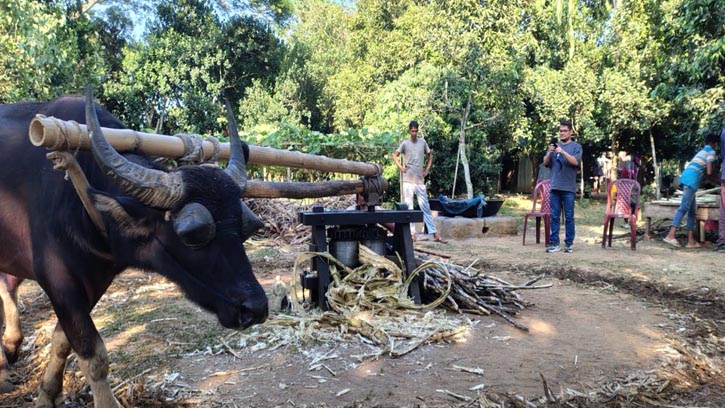 বিজয়নগরে আখের রস থেকে তৈরি হচ্ছে ঐতিহ্যবাহী ‘লালি’ গুড়