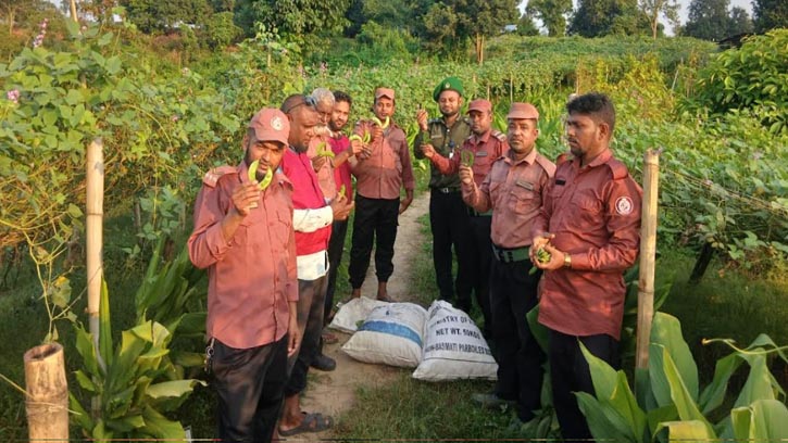 গুইমারায় শিম চাষে ভিডিপি সদস্যদের ভাগ্যবদল