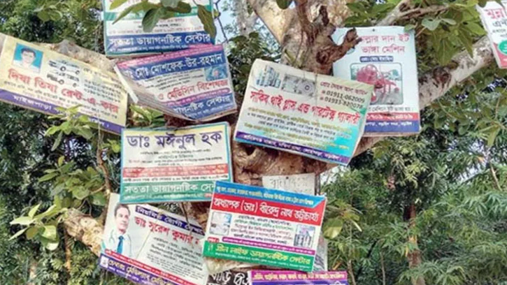 গাছের ক্ষতি ঠেকাতে নতুন আইন, পেরেক ঠোকায় সর্বোচ্চ জরিমানা ২০ হাজার