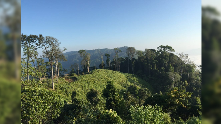 অনিয়ম-ঘুষ ও দুর্নীতির  বান্দরবান বন বিভাগ