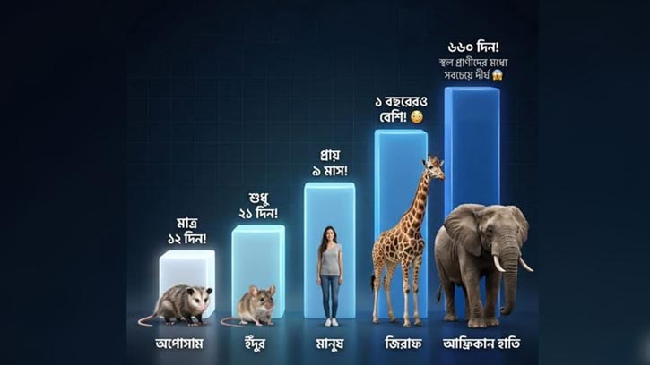 প্রকৃতির অজানা সত্য: সময়ের এমন বিশাল ফারাক কেন?