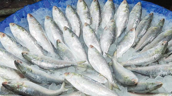 মা ইলিশ সংরক্ষণে নৌবাহিনীর কঠোর পাহারা