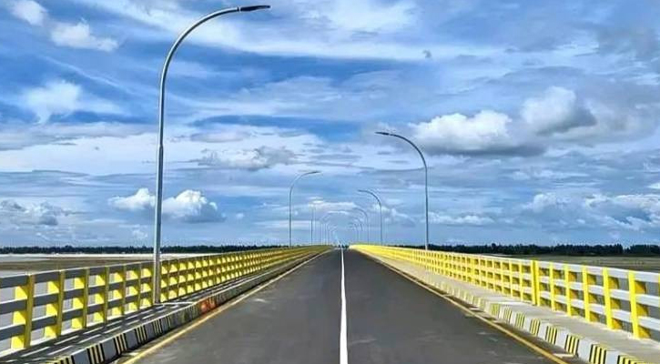 মাওলানা ভাসানী সেতু উদ্বোধনের পরদিন বিদ্যুতের তার চুরি