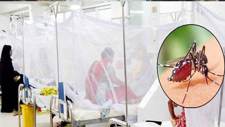 ডেঙ্গুতে মৃত্যু শূন্য, হাসপাতালে ভর্তি ৩৫৬ জন