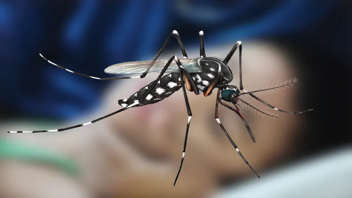 রাজশাহী থেকে সতর্কবার্তা: নতুন বছরে ডেঙ্গুর প্রথম মৃত্যু 