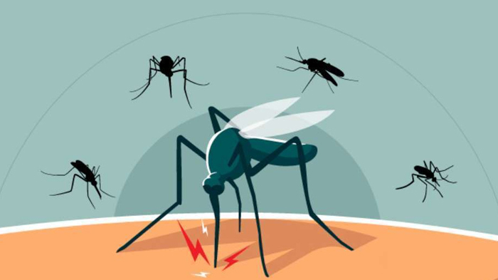 ডেঙ্গু আপডেট: ২৪ ঘণ্টায় মৃত্যু শূন্য, ৪৬ জন হাসপাতালে 