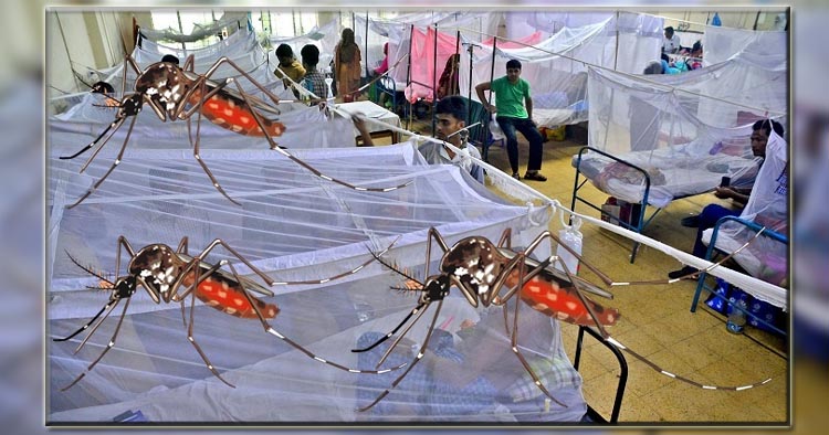 ডেঙ্গু মোকাবিলায় সময় এখনই