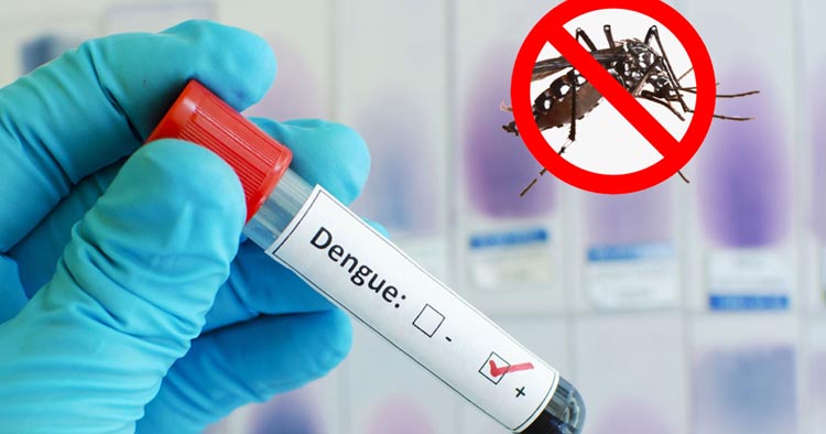 ডেঙ্গুতে আরও ২ জনের মৃত্যু, নতুন করে আক্রান্ত ৩৯৬ জন