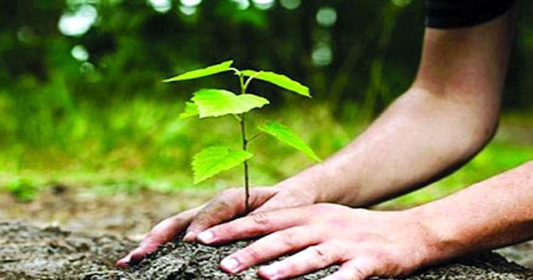 পরিবেশ রক্ষায় প্রশাসনের কড়া বার্তা