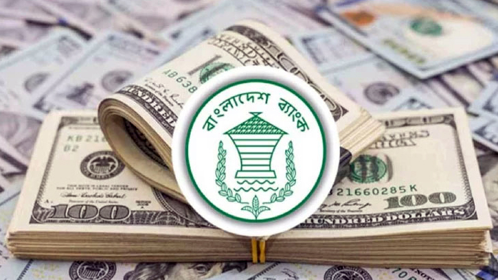 রেমিট্যান্সে রেকর্ড প্রবাহ, জুলাইয়ে এসেছে ২৪৮ কোটি ডলার