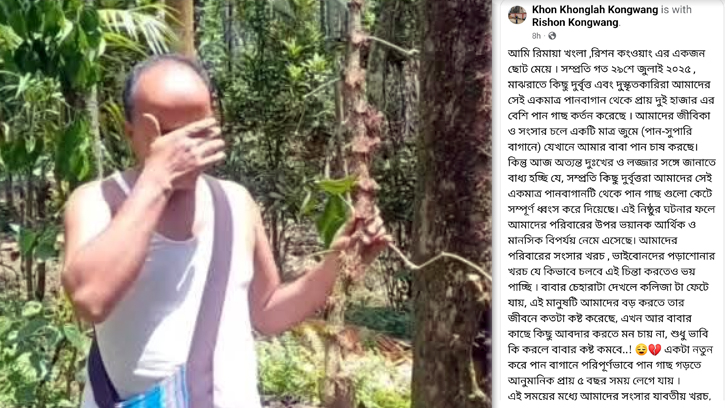 সিলেটে দুর্বৃত্তদের হামলায় দুই খাসিয়া পরিবারের জুমবাগানে ব্যাপক ক্ষতি 