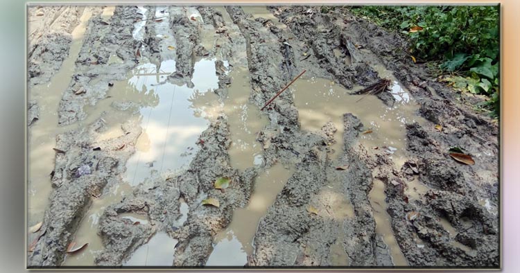 তিন কিলোমিটার রাস্তায় কাদা ও জলাবদ্ধতা; উন্নয়নের প্রতিশ্রুতির ব্যর্থ প্রতিচ্ছবি