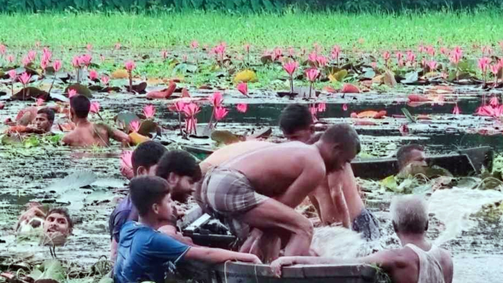 গাজীপুরে শাপলা তুলতে গিয়ে বিলে ডুবে দুই বন্ধুর করুণ মৃত্যু