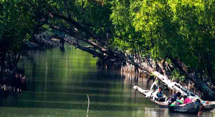 সুন্দরবনে প্রবেশে ৩ মাসের নিষেধাজ্ঞা