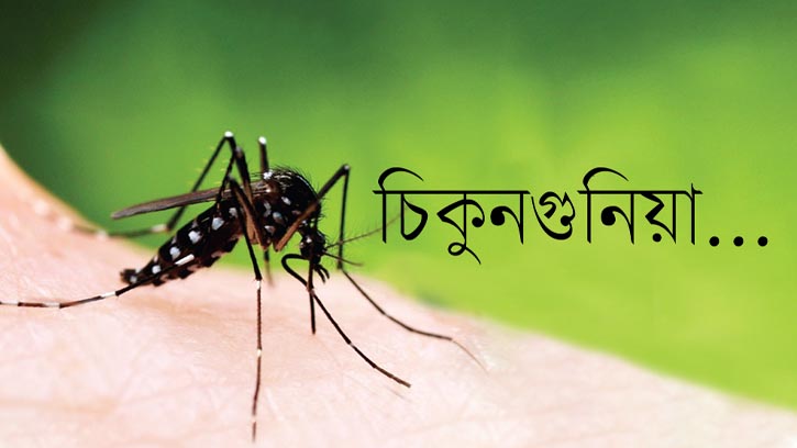 ৬ বছরের রেকর্ড ছাড়িয়ে মশাবাহিত রোগে কাঁপছে দিল্লি